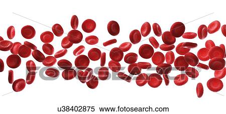 Stock Illustration - Human red blood cells, illustration. Fotosearch