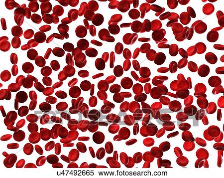 Stock Illustration - Human red blood cells, illustration. Fotosearch