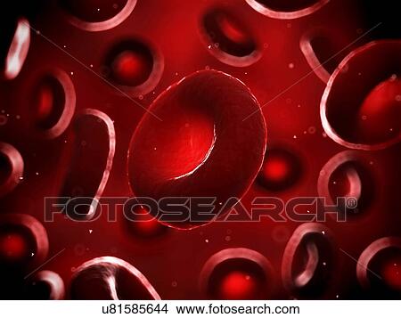 Human red blood cells, illustration View Large Illustration Stock Illustration - Human red blood cells, illustration. Fotosearch