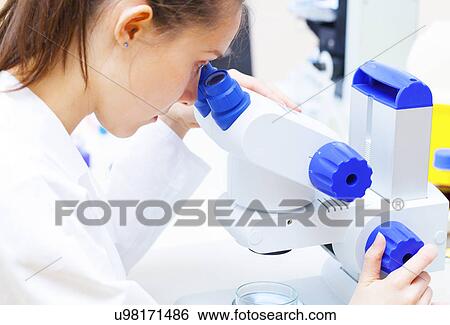 Lab assistant using microscope View Large Photo Image Stock Photograph - Lab assistant using microscope. Fotosearch