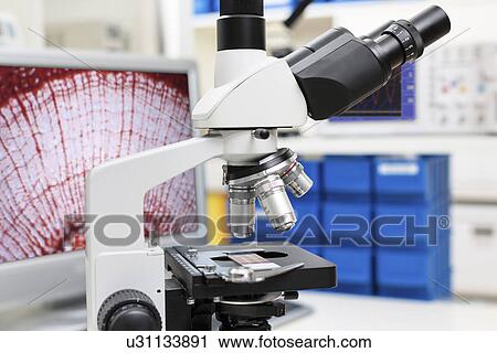 Stock Image - Lab microscope. Fotosearch