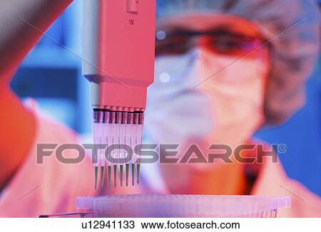 Lab technician holding multi pipettes View Large Photo Image Stock Image - Lab technician holding multi pipettes. Fotosearch