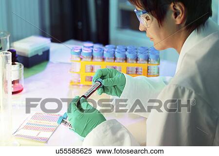 Lab technician holding test tube View Large Photo Image Stock Photography - Lab technician holding test tube. Fotosearch