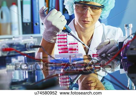 Lab technician using a pipette View Large Photo Image Stock Image - Lab technician using a pipette. Fotosearch