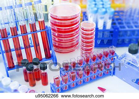 Laboratory containers View Large Photo Image Stock Photograph - Laboratory containers. Fotosearch