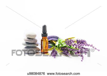 Lavender flowers and aromatherapy oil View Large Photo Image Stock Photograph - Lavender flowers and aromatherapy oil. Fotosearch