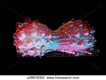 Lung cancer cells dividing, illustration View Large Illustration Drawing - Lung cancer cells dividing, illustration. Fotosearch