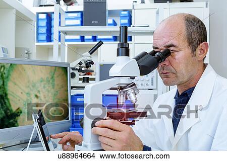 Picture - Man using a Lab microscope. Fotosearch