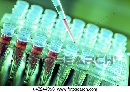 Medical samples in test tubes View Large Photo Image Stock Image - Medical samples in test tubes. Fotosearch