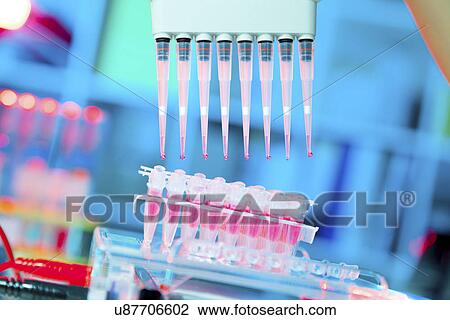 Stock Image - Multi pipettes used in microbiology lab. Fotosearch