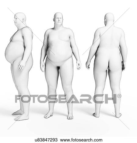 Drawing - Overweight body, illustration. Fotosearch