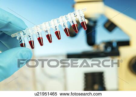Stock Photography - Person holding PCR tubes. Fotosearch