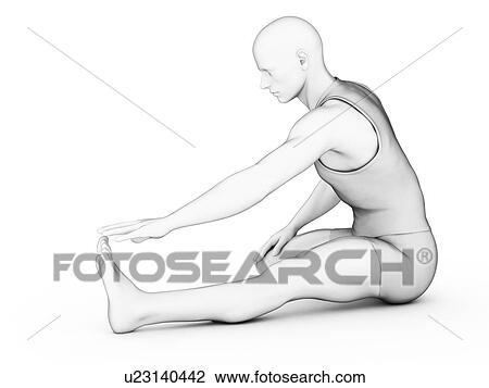 Person stretching, illustration View Large Illustration Drawing - Person stretching, illustration. Fotosearch
