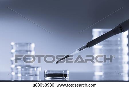 Stock Photograph - Petri dish and a pipette. Fotosearch
