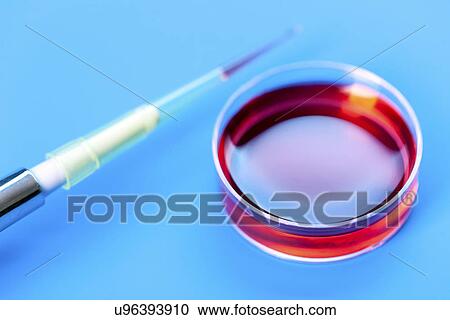 Petri dish and pipette View Large Photo Image Stock Image - Petri dish and pipette. Fotosearch