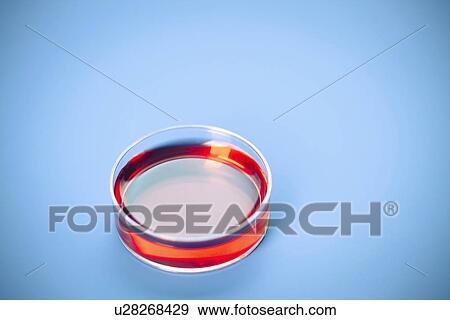 Petri dish View Large Photo Image Stock Photo - Petri dish. Fotosearch