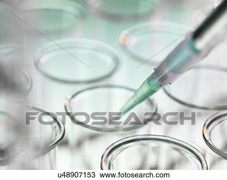 Petri dishes and pipette View Large Photo Image Stock Image - Petri dishes and pipette. Fotosearch