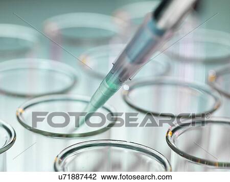 Stock Image - Petri dishes and pipette. Fotosearch