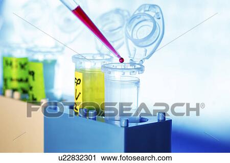 Stock Image - Pipette and eppendorf tubes. Fotosearch
