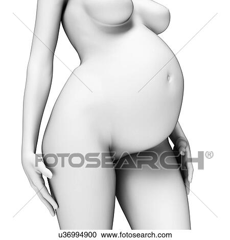 Clipart - Pregnant woman, illustration. Fotosearch