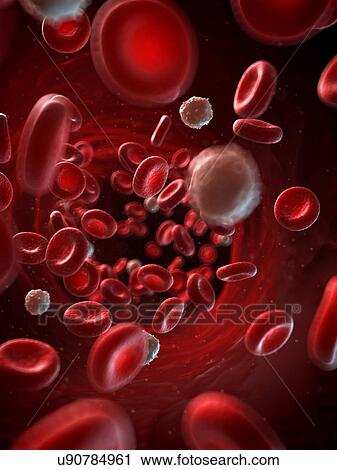 Clip Art - Red and white blood cells, illustration. Fotosearch