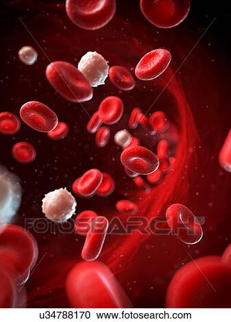 Clipart - Red and white blood cells, illustration. Fotosearch