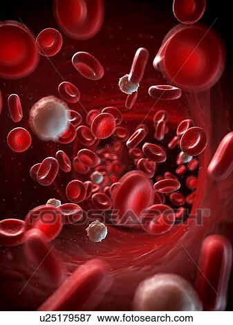 Red and white blood cells, illustration View Large Illustration Stock Illustration - Red and white blood cells, illustration. Fotosearch