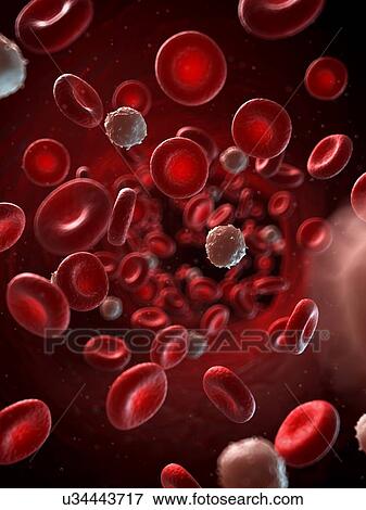 Red and white blood cells, illustration View Large Illustration Stock Illustration - Red and white blood cells, illustration. Fotosearch
