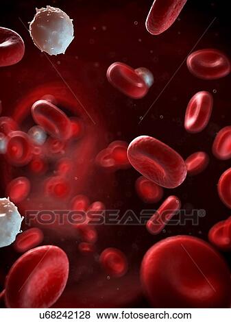 Red and white blood cells, illustration View Large Illustration Stock Illustration - Red and white blood cells, illustration. Fotosearch