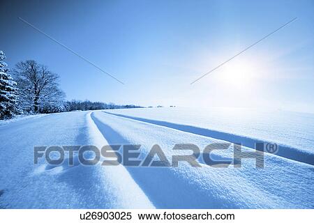 Snow covered field in sunlight View Large Photo Image Stock Photography - Snow covered field in sunlight. Fotosearch