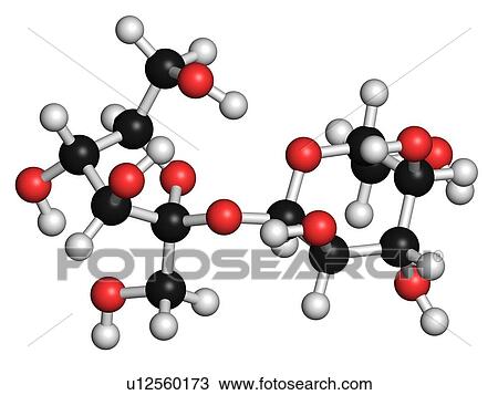 Drawing - Sucrose sugar molecule. Fotosearch
