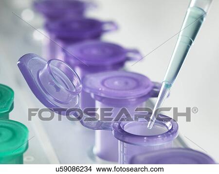 Test tubes and pipette View Large Photo Image Picture - Test tubes and pipette. Fotosearch