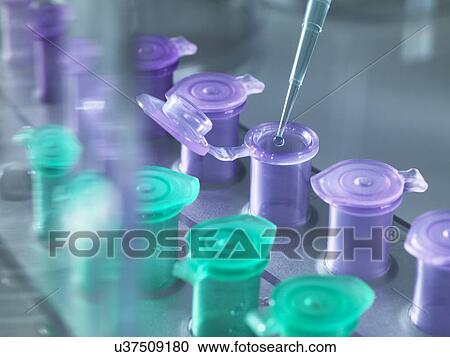 Test tubes and pipette View Large Photo Image Stock Image - Test tubes and pipette. Fotosearch