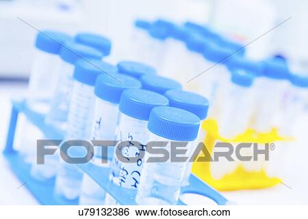 Stock Photograph - Test tubes in a rack. Fotosearch