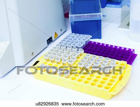Stock Photography - Test tubes in a rack. Fotosearch