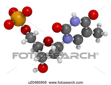 Stock Illustration - Thymidine monophosphate molecule. Fotosearch
