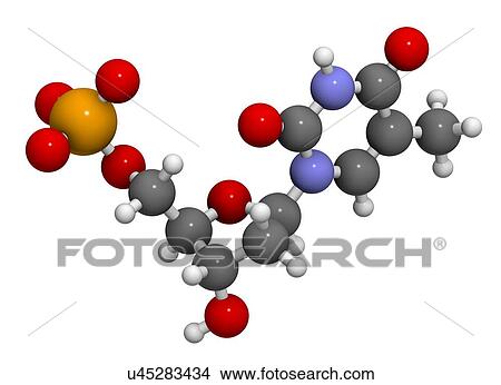 Thymidine monophosphate molecule View Large Illustration Stock Illustration - Thymidine monophosphate molecule. Fotosearch