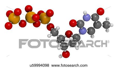 Stock Illustration - Thymidine triphosphate molecule. Fotosearch