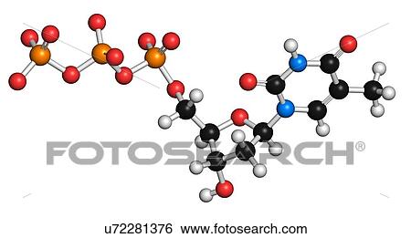 Stock Illustration - Thymidine triphosphate molecule. Fotosearch