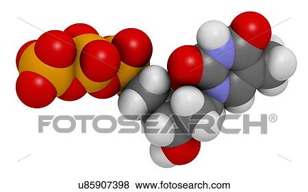 Stock Illustration - Thymidine triphosphate molecule. Fotosearch
