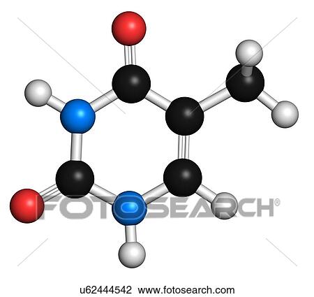 Drawing - Thymine nucleobase molecule. Fotosearch