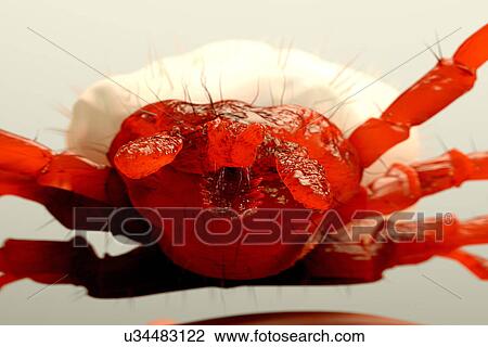 Drawing - Tick, illustration. Fotosearch