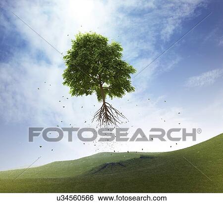 Uprooted tree, artwork View Large Illustration Stock Illustration - Uprooted tree, artwork. Fotosearch