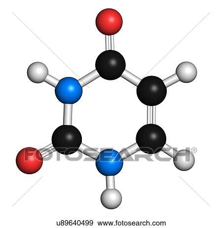 Uracil nucleobase molecule View Large Illustration Stock Illustration - Uracil nucleobase molecule. Fotosearch
