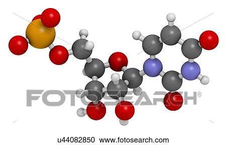 Uridine monophosphate nucleotide molecule View Large Illustration Clipart - Uridine monophosphate nucleotide molecule. Fotosearch