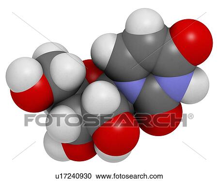 Uridine nucleoside molecule View Large Illustration Clipart - Uridine nucleoside molecule. Fotosearch