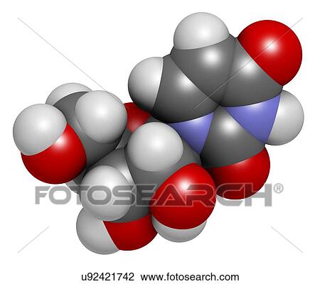 Drawing - Uridine nucleoside molecule. Fotosearch