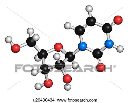 Stock Illustration - Uridine nucleoside molecule. Fotosearch