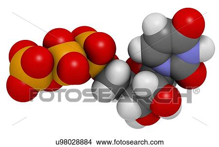 Stock Illustration - Uridine triphosphate nucleotide molecule. Fotosearch