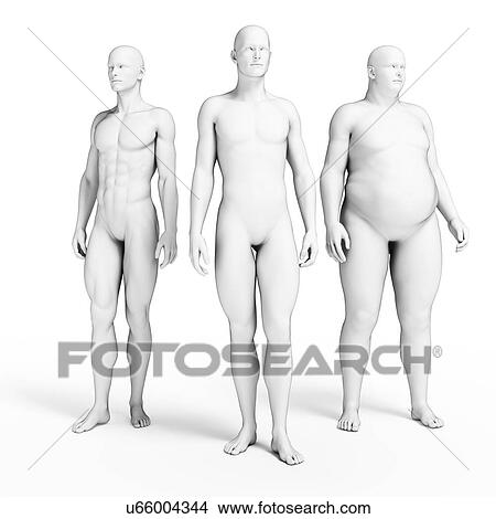 Stock Illustration - Various body shapes, illustration. Fotosearch